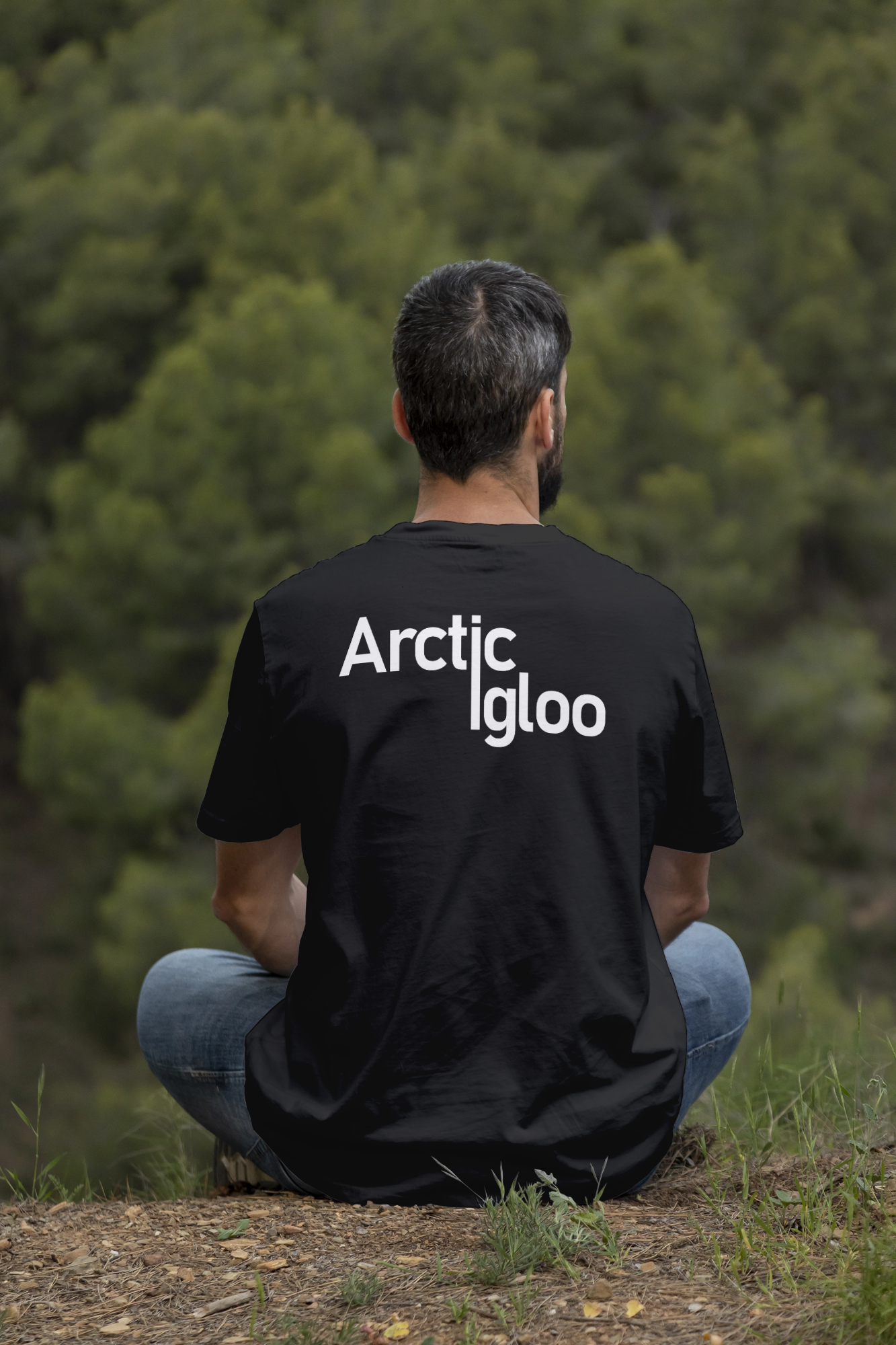 Arctic Igloo